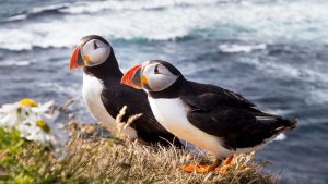 Be close to the local wildlife at the Brighwater Lodge