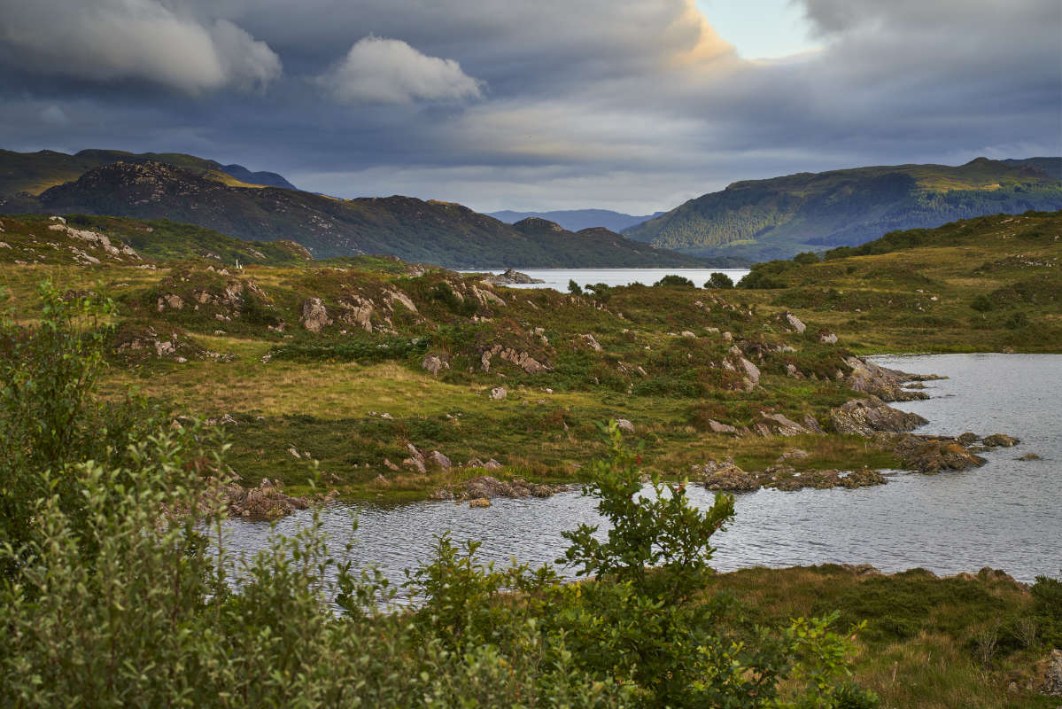 View from the window at Brightwater Lodge